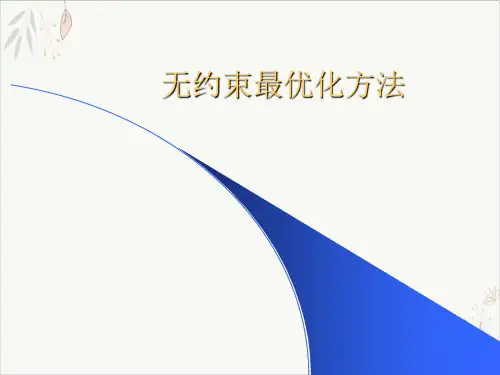 无约束方法PPT.