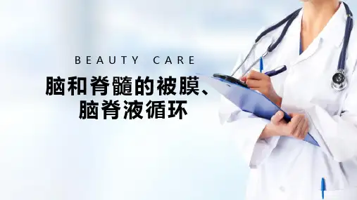 神经系统 中枢神经系统 脑和脊髓的被膜、脑脊液循环 人体解剖学课件