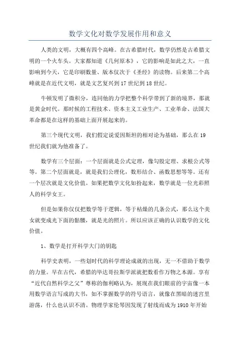数学文化对数学发展作用和意义