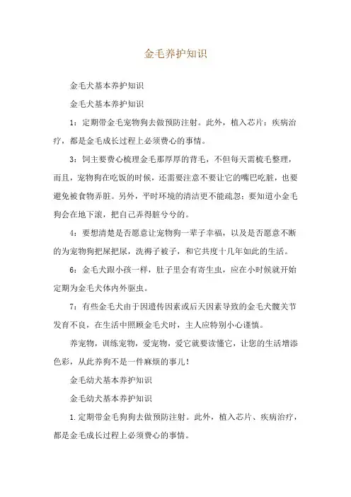 金毛养护知识