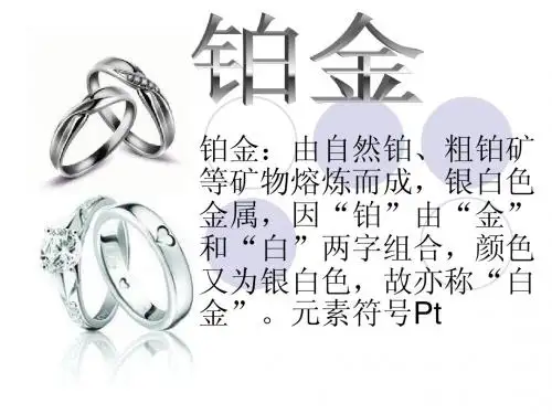 铂金课件(强仔)(1)
