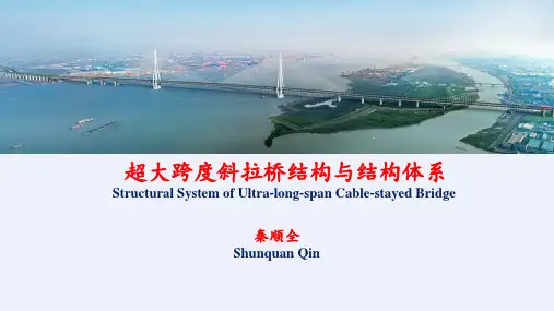 超大跨度斜拉桥结构与结构体系PPT[详细]