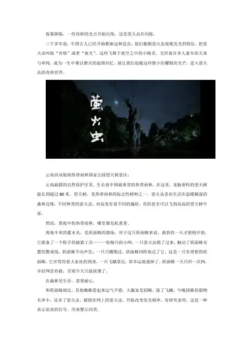 纪录片《萤火虫》解说词旁白文案