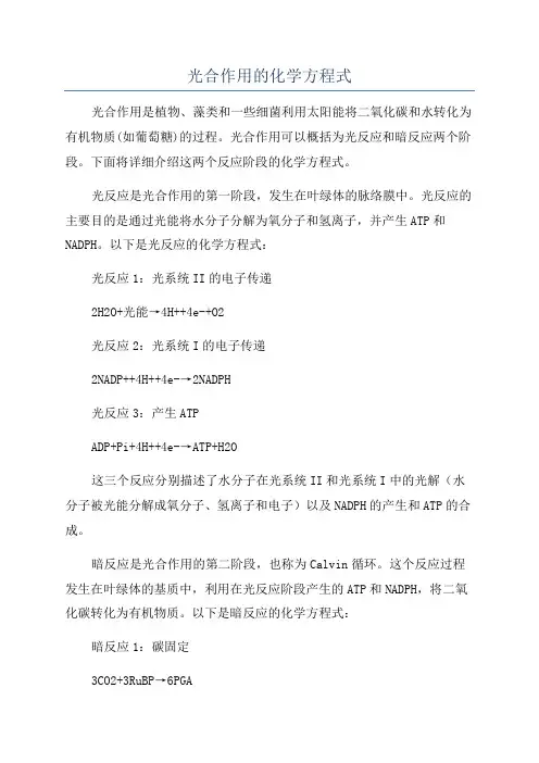 光合作用的化学方程式
