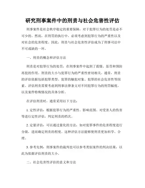 研究刑事案件中的刑责与社会危害性评估