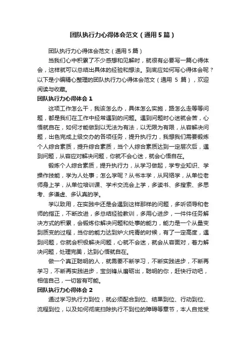 团队执行力心得体会范文（通用5篇）