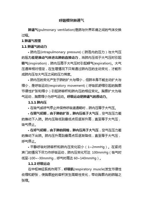 呼吸模块肺通气