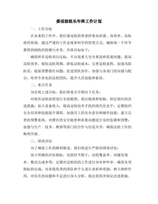 委巡检组长年终工作计划