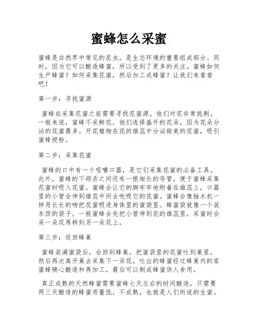 蜜蜂怎么采蜜