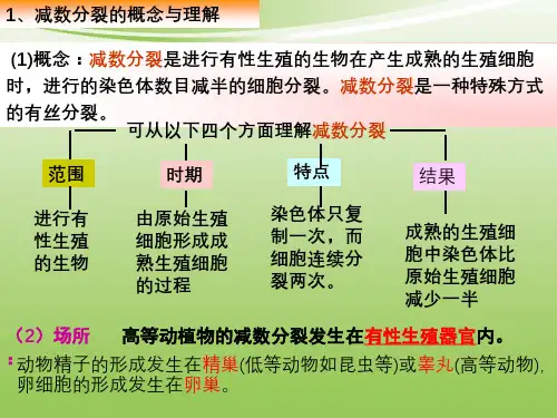 高三一轮复习减数分裂 完整版课件PPT