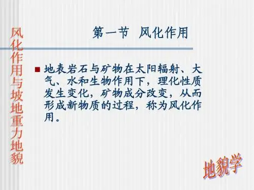 风化作用与坡地重力地貌