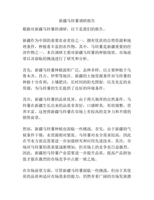 新疆马铃薯调研报告