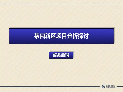 重庆茶园新区项目前期调研报告41页 共42页PPT资料