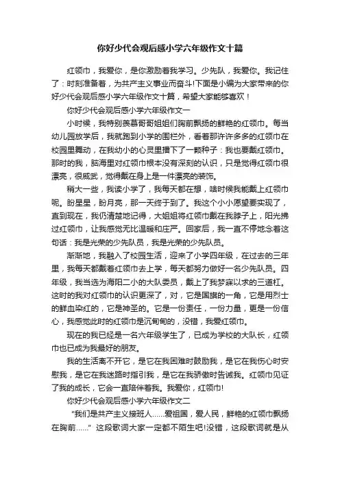 你好少代会观后感小学六年级作文十篇