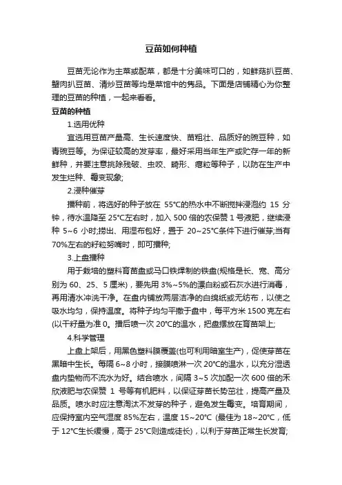 豆苗如何种植