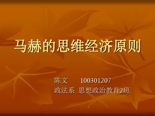 马赫的思维经济原则