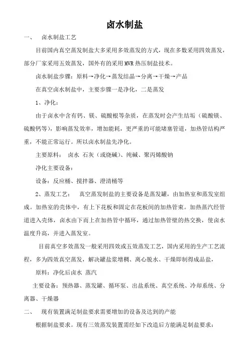 卤水制盐_精品文档