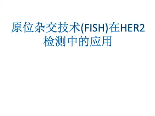 原位杂交技术的HER2检测