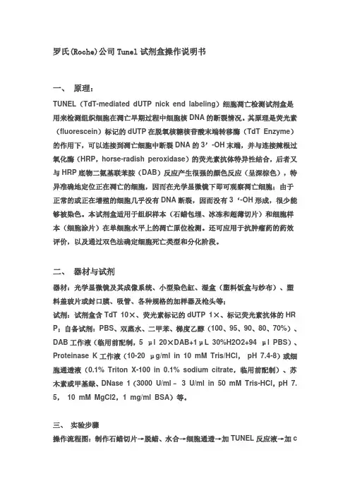 罗氏(Roche)公司Tunel试剂盒操作说明书