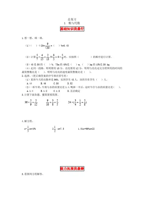 六年级数学上册【同步讲练】总复习第一课时数与代数教材详解+分层训练(,含答案)(北师大版)