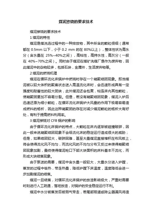 煤泥掺烧的要求技术