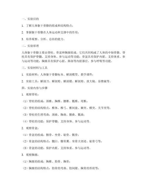 躯干骨骼实验报告
