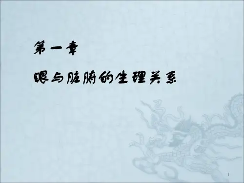 眼与脏腑经络的关系ppt课件