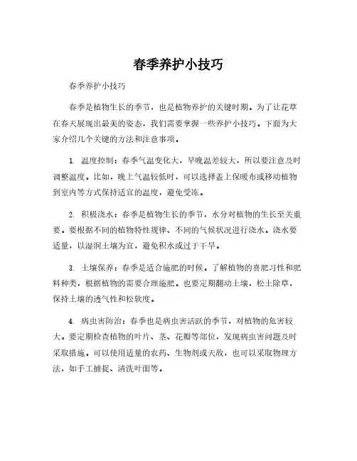春季养护小技巧