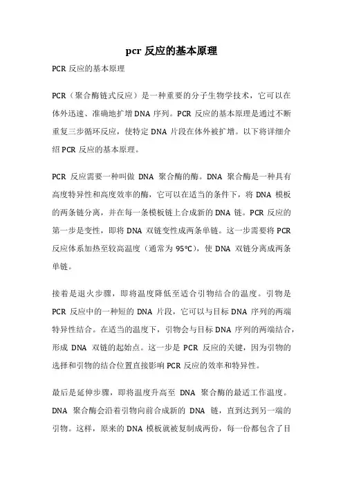 pcr反应的基本原理