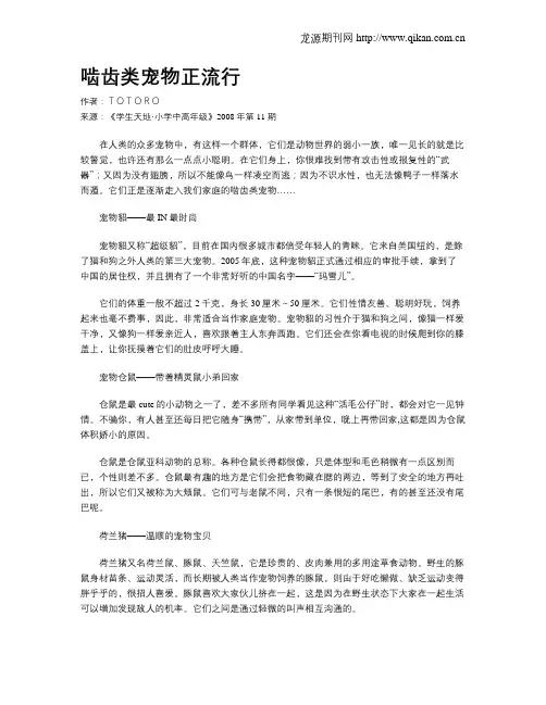 啮齿类宠物正流行