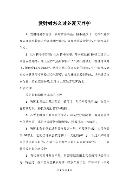 发财树怎么过冬夏天养护