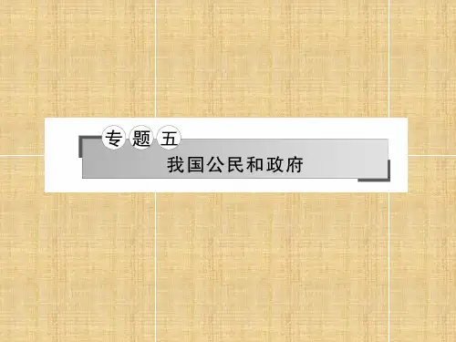 高三政治二轮复习专题五我国公民和政府名师课件
