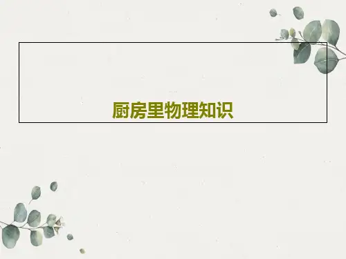 厨房里物理知识PPT共16页