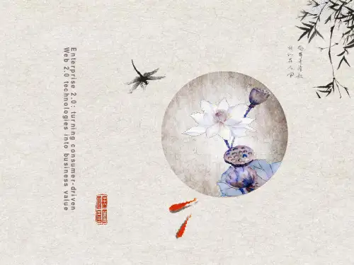 国外商业软件介绍PPT模板