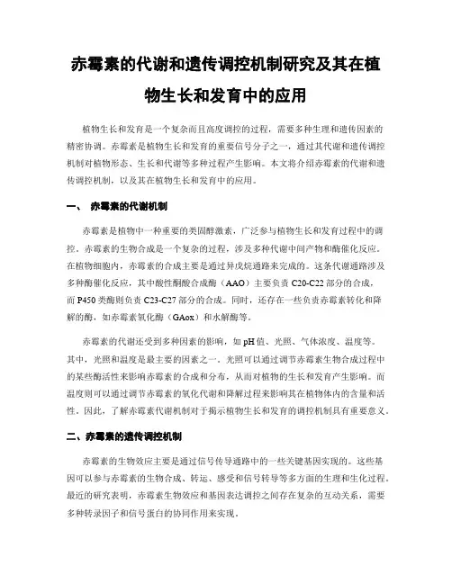 赤霉素的代谢和遗传调控机制研究及其在植物生长和发育中的应用