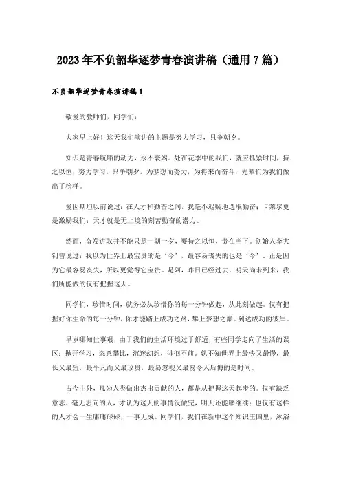 2023年不负韶华逐梦青春演讲稿(通用7篇)