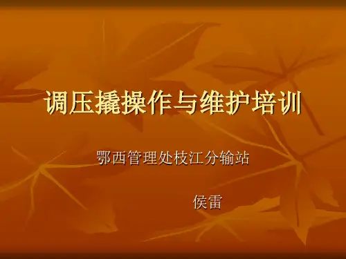 调压撬操作与维护 PPT课件