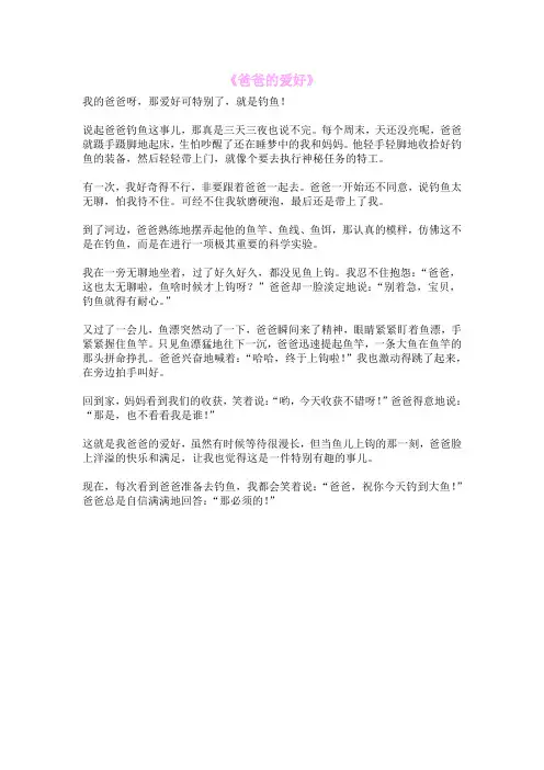《爸爸的爱好》
