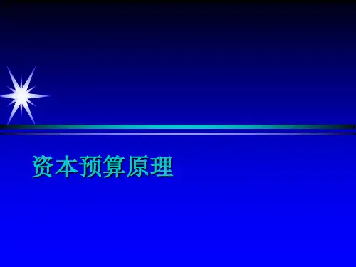 6资本预算原理(1)