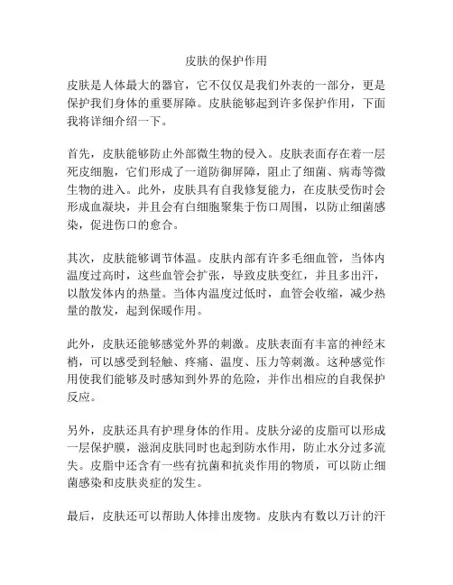 皮肤的保护作用
