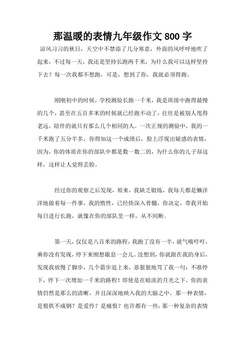那温暖的表情九年级作文800字