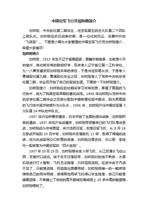 中国空军飞行员刘粹刚简介