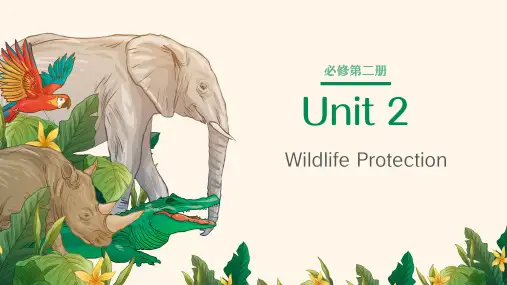 人教版高中英语必修第二册unit2复习课件
