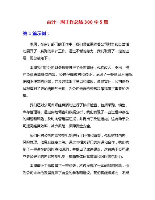 审计一周工作总结300字5篇