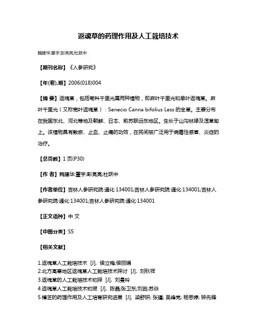 返魂草的药理作用及人工栽培技术