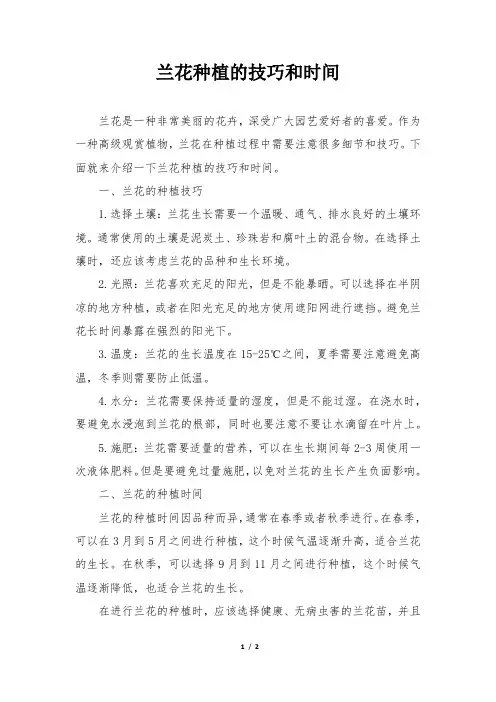 兰花种植的技巧和时间
