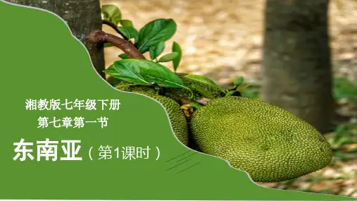 东南亚(课件)七年级地理上册(湘教版)