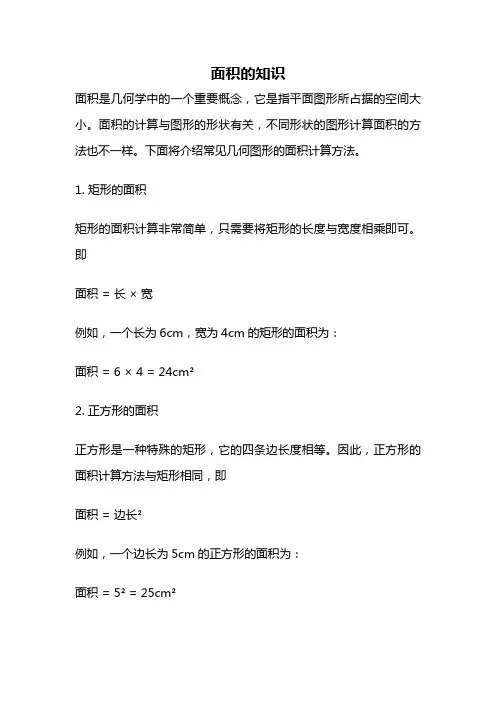 面积的知识