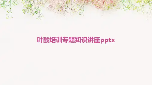 2024版叶酸培训专题知识讲座pptx