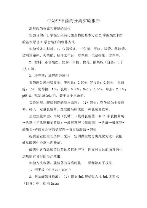 牛奶中细菌的分离实验报告
